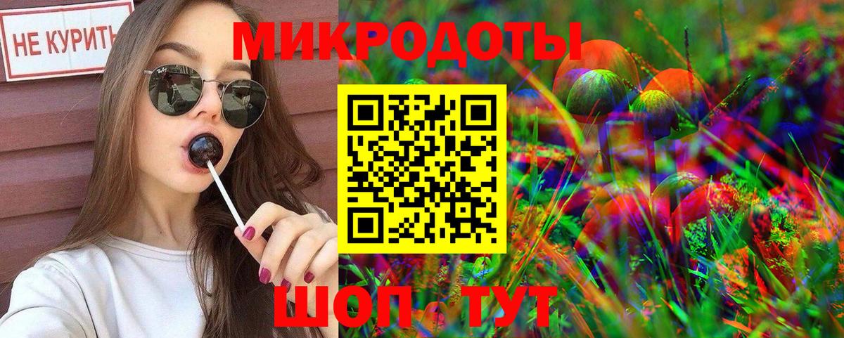 Псилоцибиновые грибы Psilocybine cubensis Северск