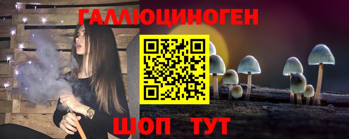 Галлюциногенные грибы GOLDEN TEACHER  Вход с VPN  Северск 