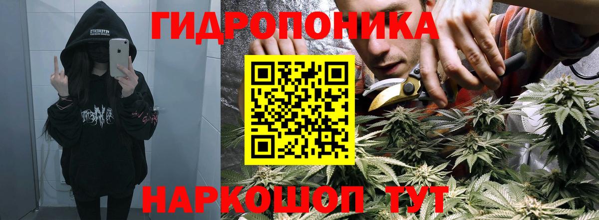 Конопля конопля  Вход с VPN  Северск  Шишки марихуана план 