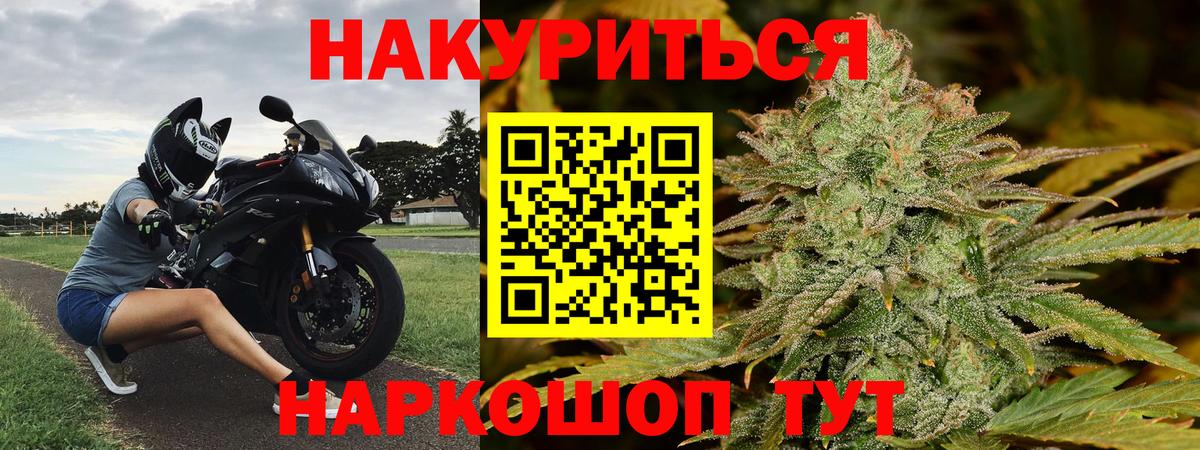 Бошки Шишки гибрид Северск